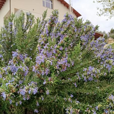 B&B Tenute Lazzarino Sciacca Exterior foto