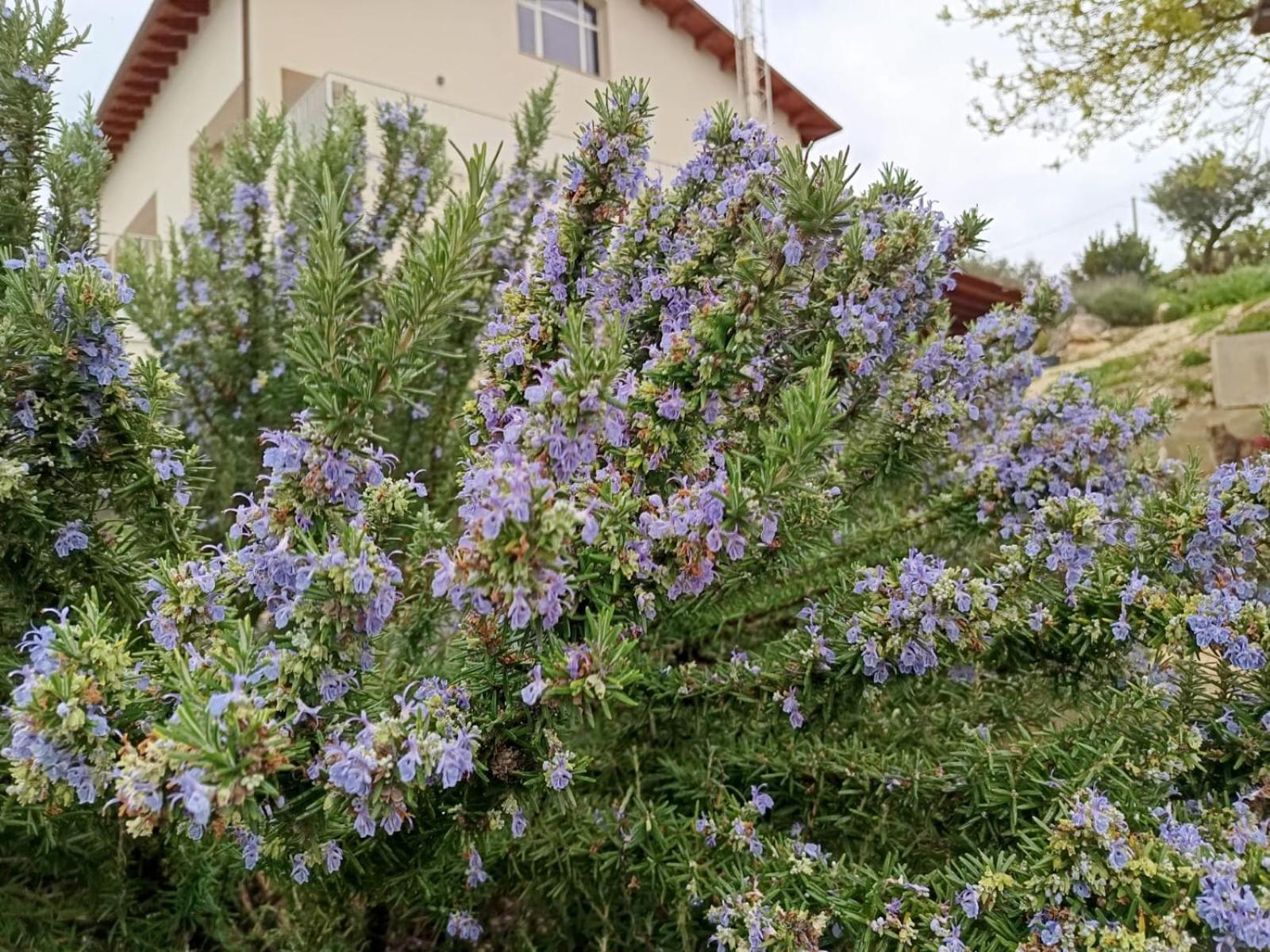 B&B Tenute Lazzarino Sciacca Exterior foto